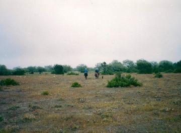Terreno plano en su mayoría · 330 Ha en Venta en Río Verde San Luis Potosi