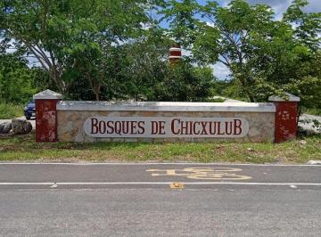 Terreno / Lote , Chicxulub Pueblo · Terrenos en Venta en Bosques de Chicxulub, Yucatan