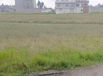 Terreno / Lote · 200m² · Terreno en San Lorenzo Tepaltitlan Centro