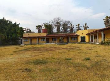 Terreno / Lote · 400m² · Terreno en Venta en Chiconcuac, Morelos