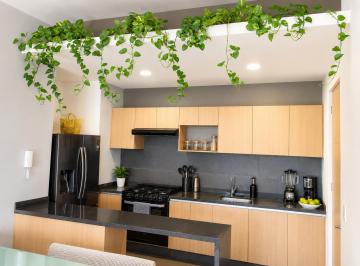 Departamento de 2 habitaciones, Cuauhtémoc · Departamento Amueblado en Renta en Roma Norte Exterior con Balcón y Doble Altura