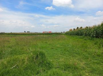 Terreno / Lote · 3267m² · Terreno en Venta en San Nicolas T. Toluca