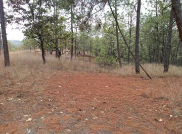 Terreno / Lote · 4000000m² · Se Venden 400 Ha en Valle de Bravo