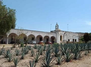 Rancho · 6000m² · 6 Recámaras · Finca en Venta en Tupátaro - (4)