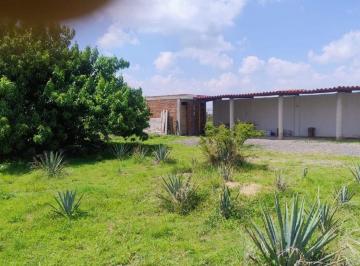 Terreno / Lote , Romita · Terreno Campestre Venta Lomas del Sur