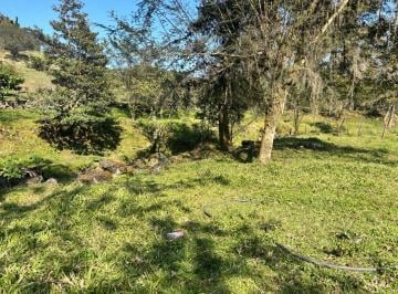 Terreno / Lote · 10000m² · Terreno - Coatepec