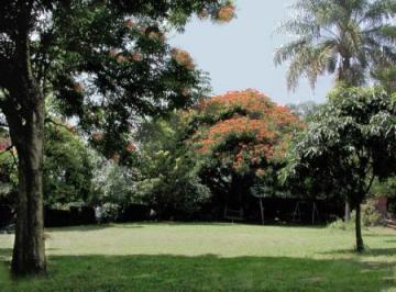 Terreno / Lote · 810m² · Terreno - Fracc. Los Laureles, La Pradera, Cuernavaca