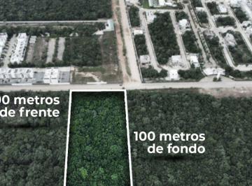 Terreno / Lote , Benito Juárez · Terreno en Venta Álamos, Cancún