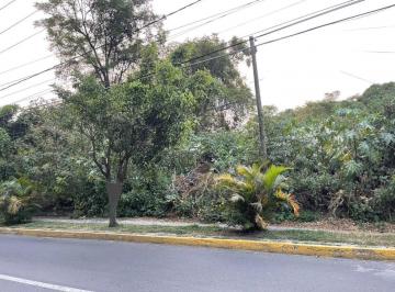 Terreno comercial · 2946m² · Terreno Comercial en Renta, Ixtapan de La Sal, Estado de México - (4)