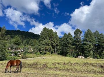 35f418010b6d8ca7c2e5cda4cac086b5d5e1c6f66975c71dcfaee530622a2131 · Terreno en Venta en Los Saúcos, Valle de Bravo