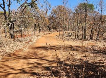 Terreno comercial , Chiquilistlán · Terreno Rústico en Venta – 27 Hectáreas en Chiquilistlán, Jalisco | a Tan Sólo 20 Km de Tapalpa
