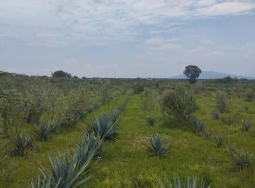 Terreno / Lote · 65346m² · Terreno en Venta en San Isidro Mazatepec