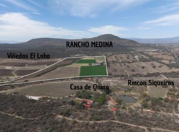 Terreno / Lote · 290m² · Rancho de 16.2 Ha con Pozo y Permiso, con Riego por Goteo, Uso de Suelo Agricola, Escriturado