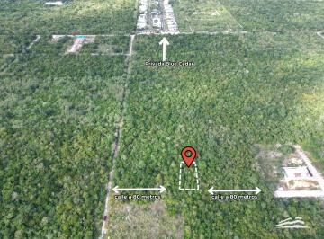 Terreno / Lote , Mérida · Terreno en Venta en Komchén, Al Norte de Mérida. Opción de Financiamiento