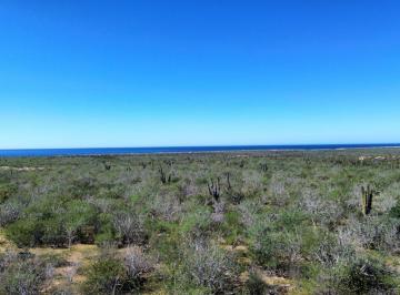 Terreno / Lote · 5000m² · Terreno Rústico Campestre 5,000 m² en Agua Blanca La Paz Baja California Sur