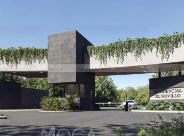 Terreno / Lote · 400m² · Terreno / Lote en Venta en Allende