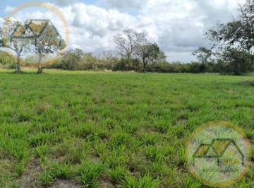 Terreno / Lote · 9ha · Terreno en Venta Carretera Federal Paso del Toro - Boca del Río