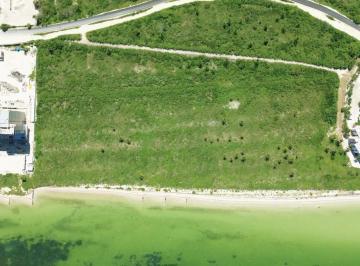 Terreno / Lote · 2501m² · Terreno en Venta Frente Al Mar 17 m Lineales en Telchac Puerto