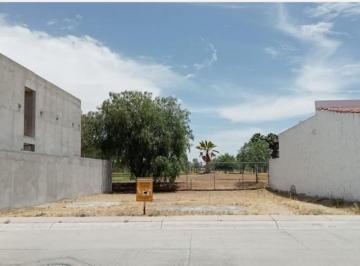 Terreno / Lote · 260m² · Terreno en Fraccionamiento Rancho Santa Mónica
