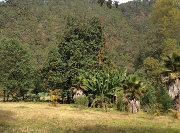 Terreno / Lote , Valle de Bravo · Terreno Plano a un Minuto de La Autopista, Colindando con El Cerro del Elefante, Junto a Río