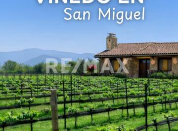 Terreno / Lote , Comonfort · Terreno en Venta en Viñedos San Miguel, en Comonfort, Guanajuato. con Viñedo