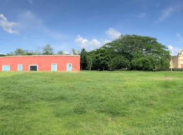 Terreno / Lote · 1m² · Terreno en Venta en Hacienda de Ticopó, Yucatán