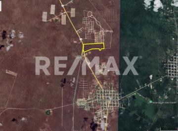 Terreno comercial · 359164m² · Terreno de 35ha Sobre Carretera Mérida Chicxulub Puerto Yucatán - (4)