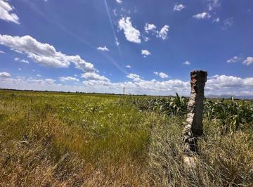 Terreno / Lote , León · Venta de 4ha Colonia Benito Juarez Santa Ana del Conde