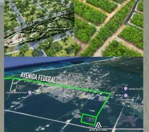 Terreno / Lote · 160m² · Terreno Tulum