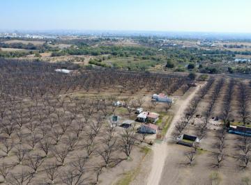 Terreno / Lote · 10231m² · Terreno en Congregacion Corral de Barrancos