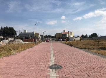 Terreno / Lote · 258m² · Terrenos en Venta Metepec Urbanizados