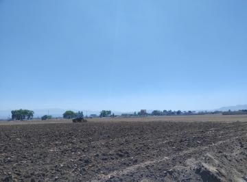 Terreno / Lote · 10000m² · Terreno en Venta Sobre La Carretera Toluca Tenango