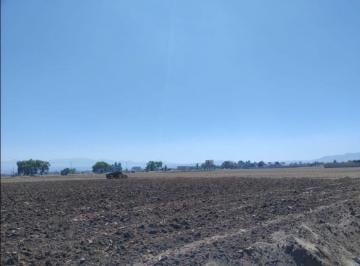 Terreno / Lote · 18687m² · Terreno - Calimaya