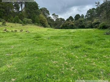 Terreno / Lote · 500m² · Terreno - Pueblo San Antonio El Paso