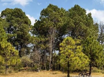 Terreno / Lote · 1000m² · Terreno - Omitlán de Juárez