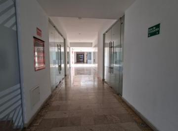 Oficina · 151m² · 1 Estacionamiento · Local Comercial en Renta en Sonata - (4)