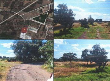 1c3b847850fc900699f535c3507a20c27e5134212e7654730ab7c898d9ab1a3c · En Venta | Terreno | San Martín de Las Piramides, Edo Méx