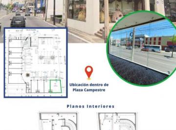 Local comercial · 200m² · Local en Ave Principal