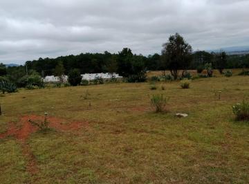 Terreno / Lote · 13539m² · Terreno en Venta Amealco, El Rincon Querétaro. Qro Sup. 1.35 Ha