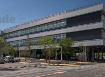 Oficina · 13697m² · 443 Estacionamientos · Oficinas Corporativas en Av Romulo Garza San Nicolas