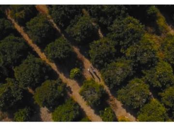 Terreno / Lote · 1000m² · Terrenos en Venta en Allende