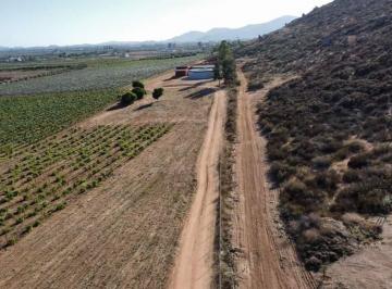 Terreno / Lote · 2500m² · Venta de Terrenos en El Corazón de Valle de Guadalupe