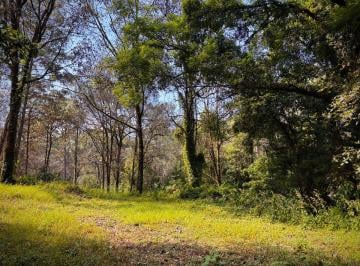 Terreno / Lote , Valle de Bravo · Terreno en Venta en Valle de Bravo a Solo 15 Min del Centro de Avándaro.