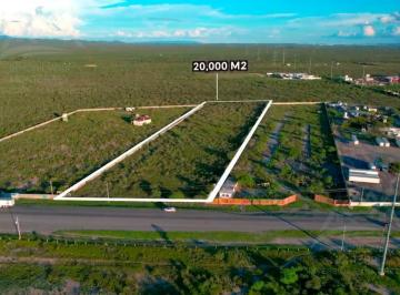 Terreno / Lote · 20000m² · Terreno en Renta de 20000 m Frente a Carretera Ciénega de Flores Nuevo León.
