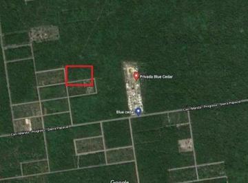 Terreno / Lote , Mérida · Terreno en Venta Mérida a 3 Km de La Carretera Progreso
