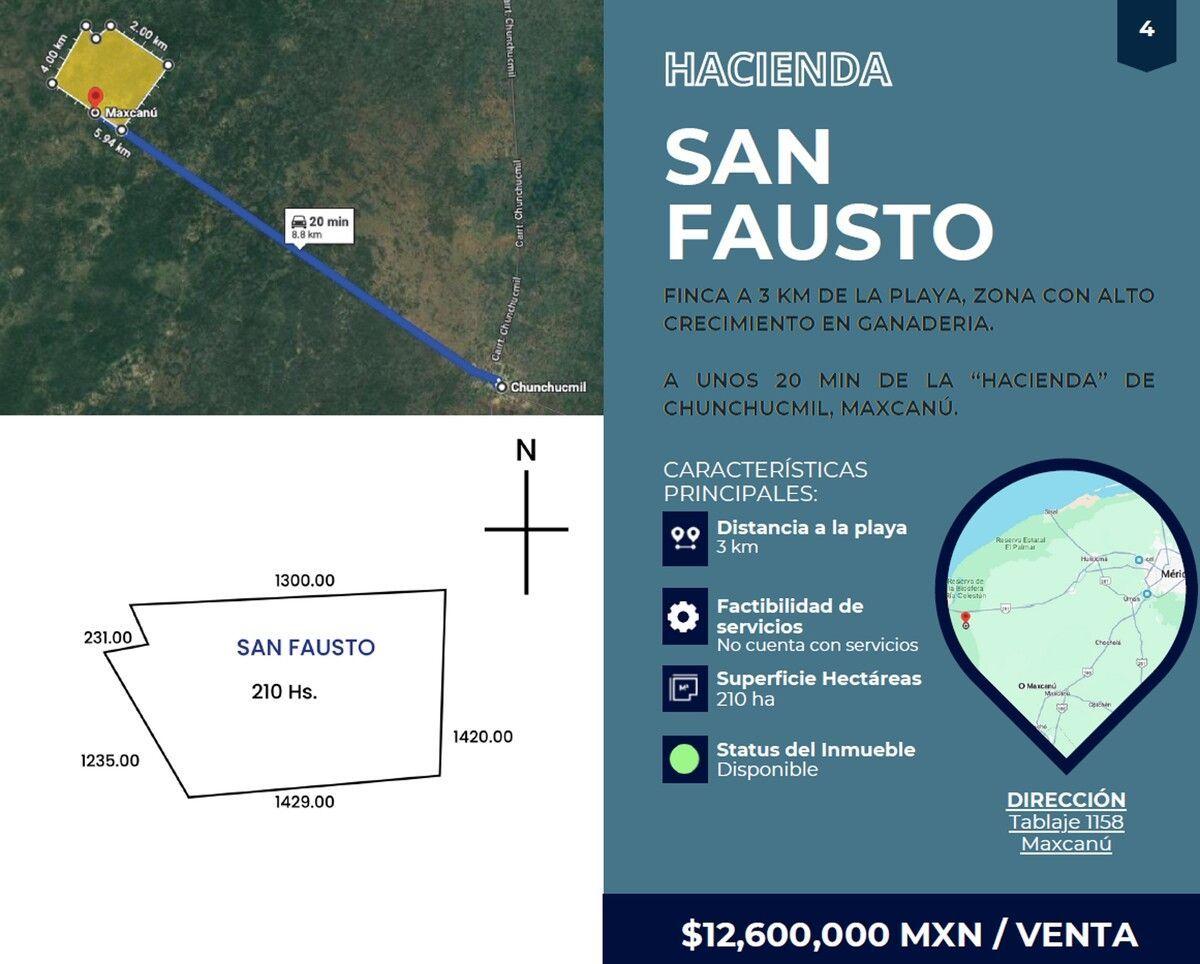 Land for Sale – 210 Hectares in Maxcanú, Yucatán