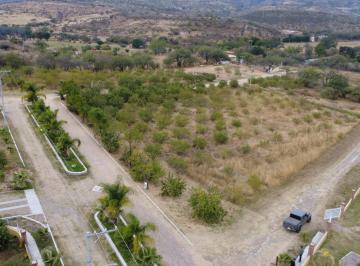 Terreno / Lote · 591m² · Terreno en Rancho o Rancheria La Calixtina