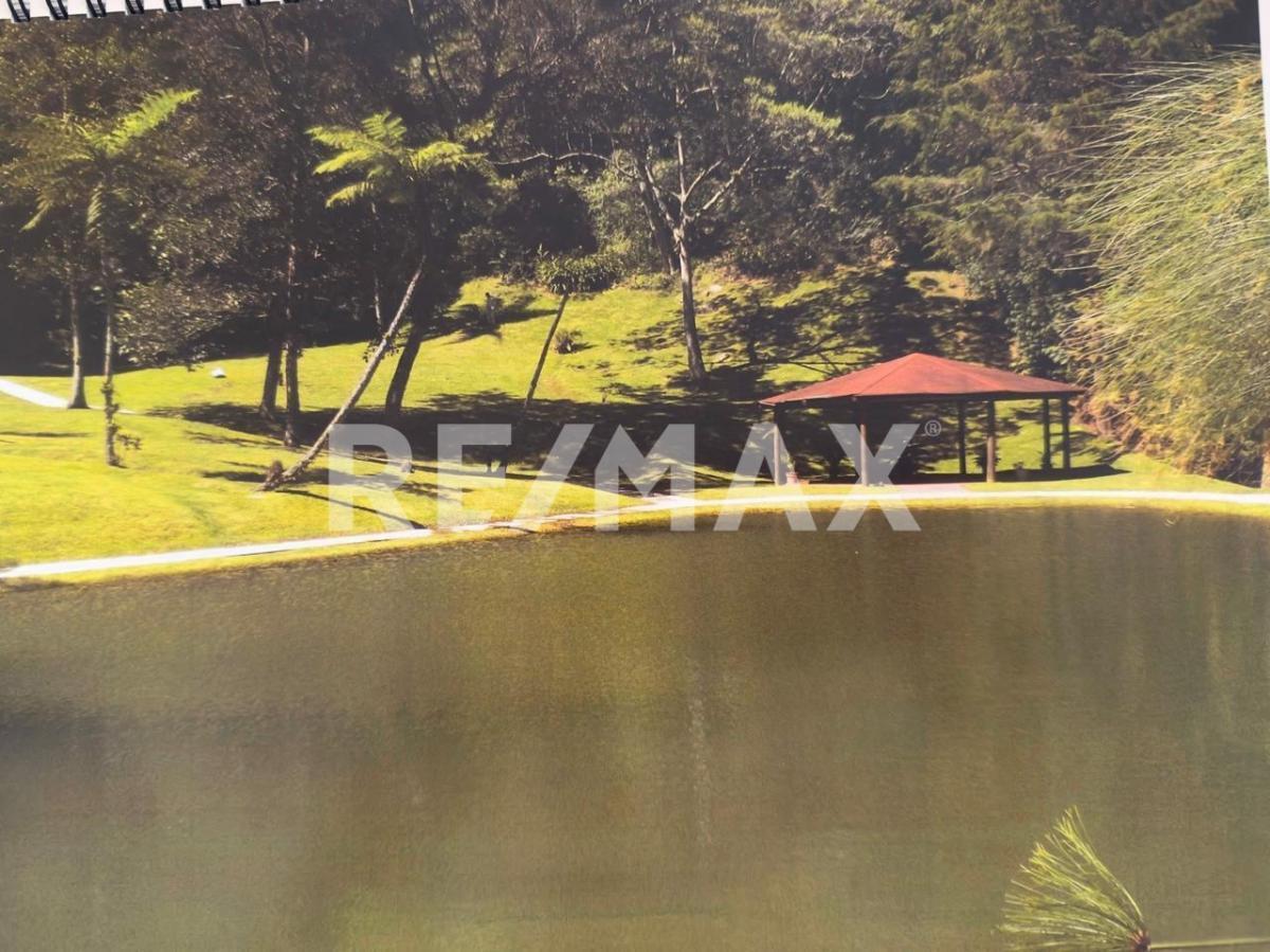 4-Hectare Land for Sale, 10 Minutes from Xalapa - (4)