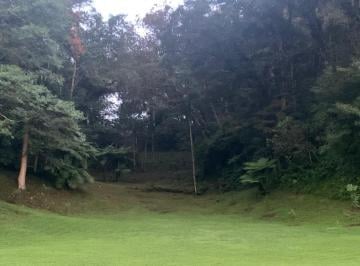 Terreno comercial · 47200m² · Terreno de 4 Ha, a 10 Minutos de Xalapa en Venta - (4)