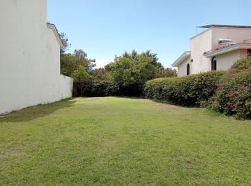Terreno / Lote · 618m² · Terreno en Venta en Lomas del Bosque - (4)